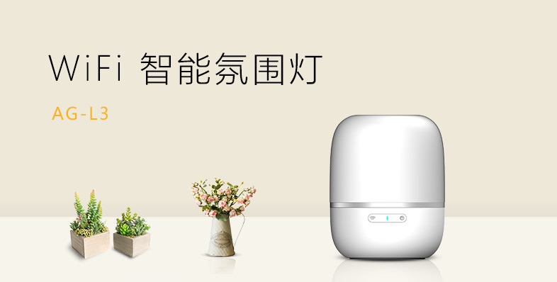 ӯwifiܷΧ ɼGoogle homeAmazon Alexa